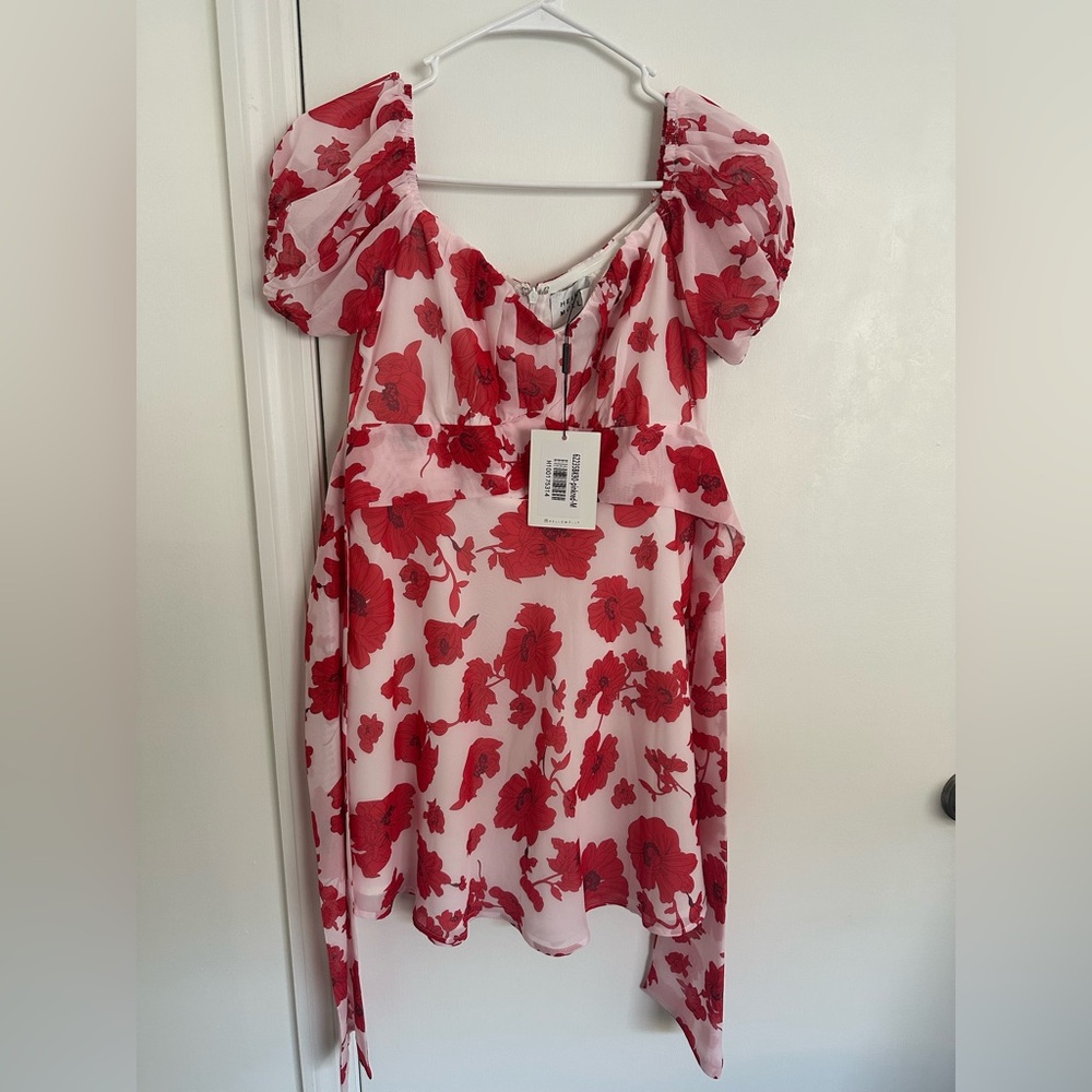 NWT Hello Molly Dress